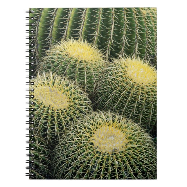 Cactus Pattern Notebook (Front)