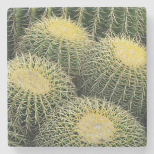 Cactus Pattern Stone Coaster