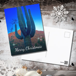 Cactus Photo Desert Southwest Christmas   Holiday Postcard