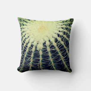 Cactus photography  cushion