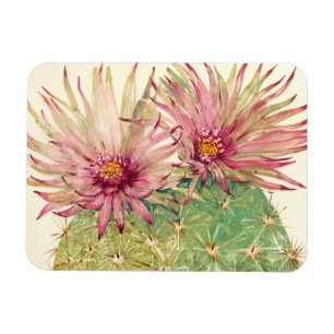 Cactus Pink Blossoms Magnet