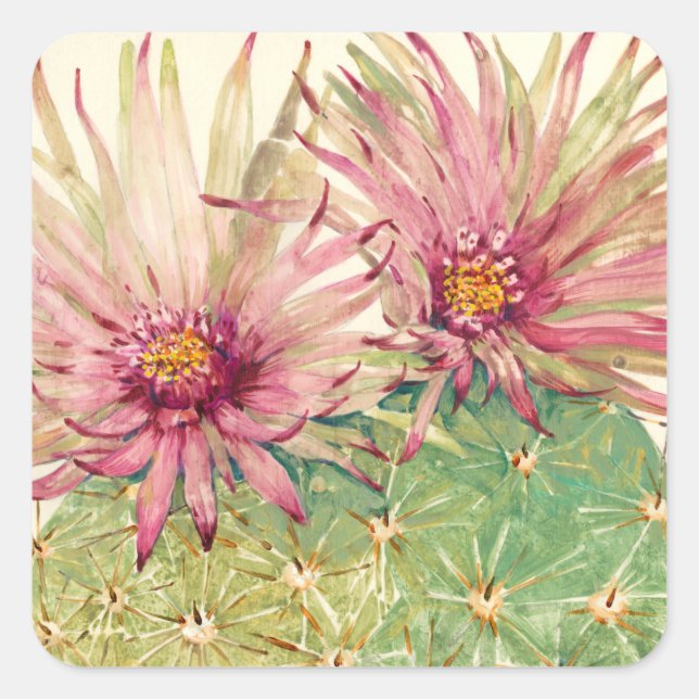 Cactus Pink Blossoms Square Sticker (Front)