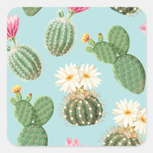 Cactus, pink flowers: light decor square sticker