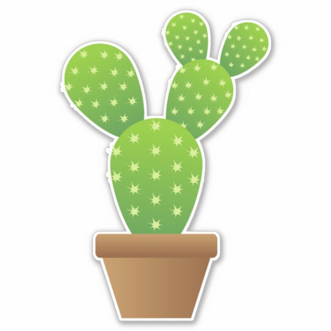 cactus plant (Front)