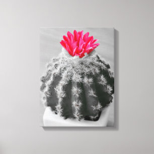 Cactus Plant Black White Photo With Pink Flower Canvas Print