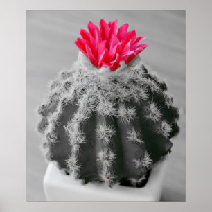 Cactus Plant  Black White Photo With Pink Flower Poster