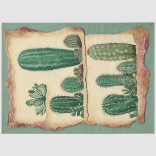 Cactus Plant Ephemera Collage Art No2 Tissue Paper