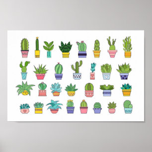 Cactus plants background poster