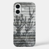 Cactus Plants On Wood Planks Black And White Photo