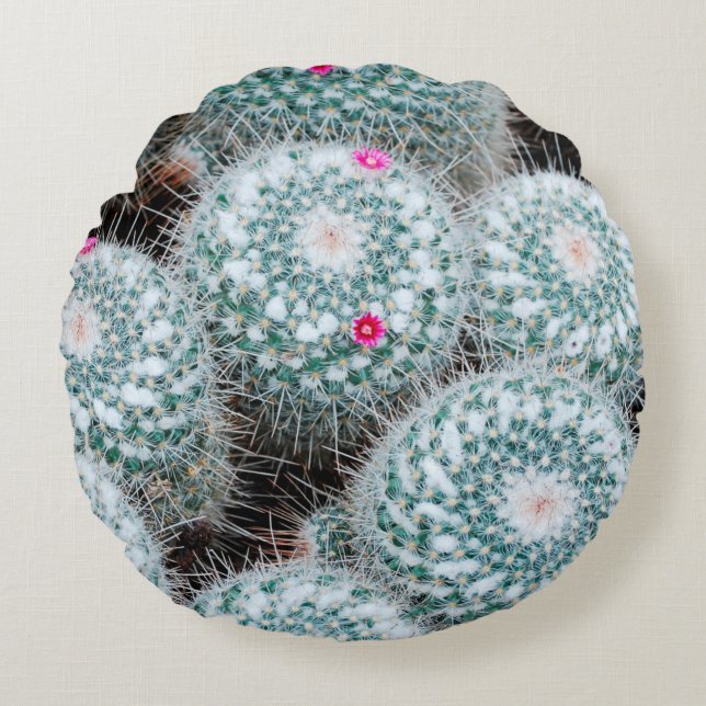 Cactus Plants with Tiny Pink Flowers Round Cushion (Front)