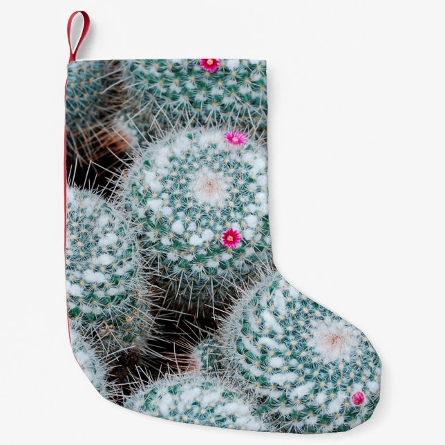 Cactus Plants with Tiny Pink Flowers Small Christmas Stocking (Front)