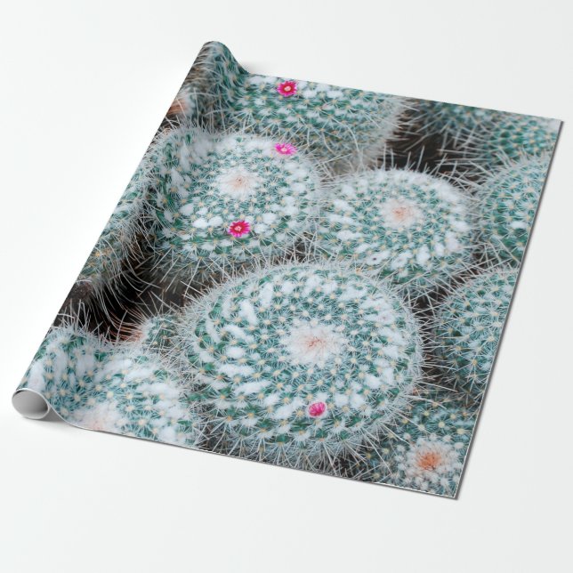 Cactus Plants with Tiny Pink Flowers Wrapping Paper (Unrolled)