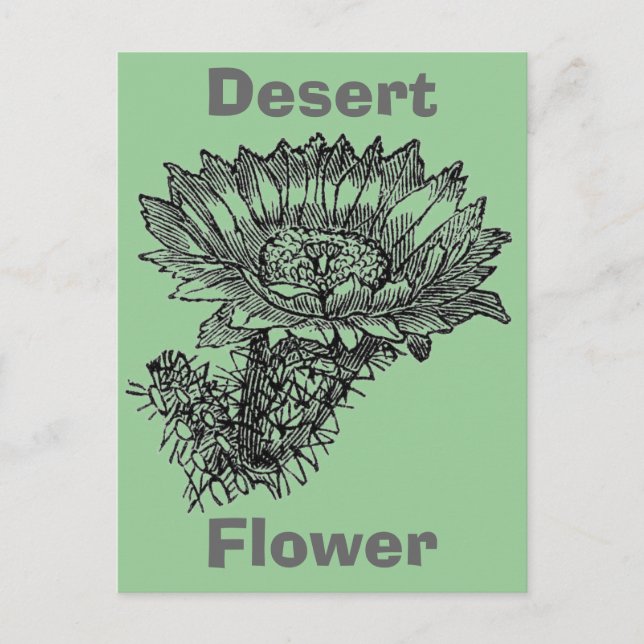 Cactus Postcard (Front)