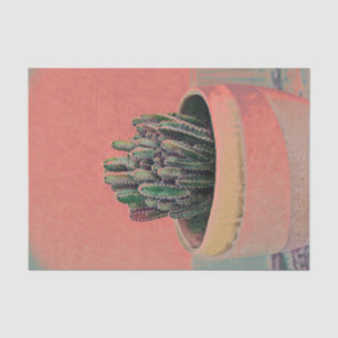 Cactus Potted House Plant Colourful Art Design Tissue Paper
