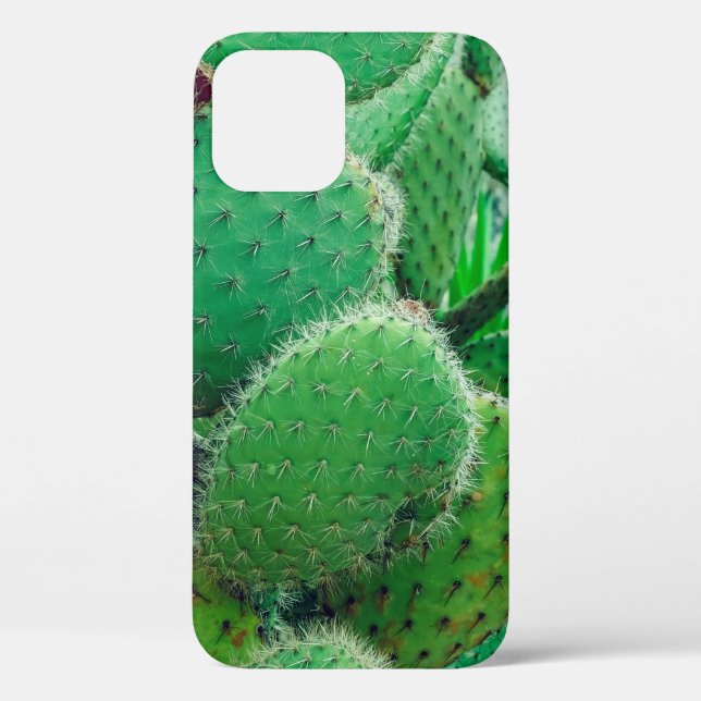 Cactus, prickly pear cactus ,cactus spines, close  Case-Mate iPhone case (Back)