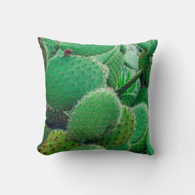 Cactus, prickly pear cactus ,cactus spines, close  cushion (Front)