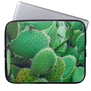 Cactus, prickly pear cactus ,cactus spines, close laptop sleeve