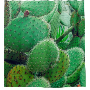 Cactus, prickly pear cactus ,cactus spines, close  shower curtain