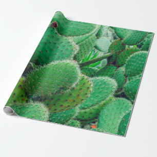 Cactus, prickly pear cactus ,cactus spines, close  wrapping paper