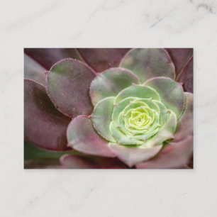Cactus Print A Desert Cactus Flower Business Card