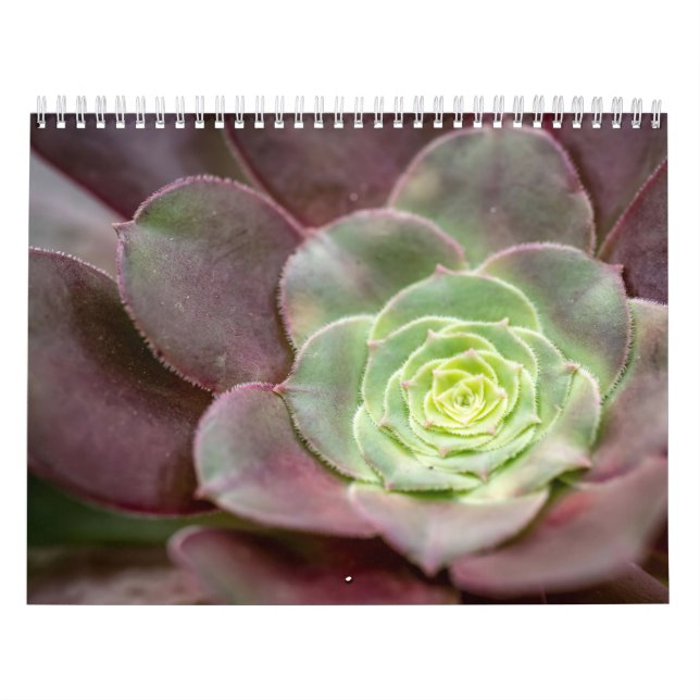 Cactus Print | A Desert Cactus Flower Calendar (Cover)