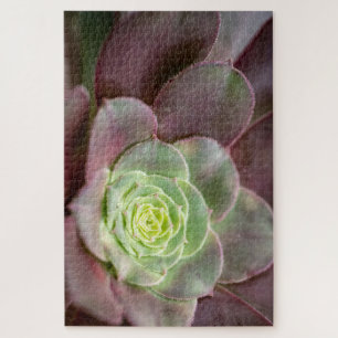 Cactus Print A Desert Cactus Flower Jigsaw Puzzle