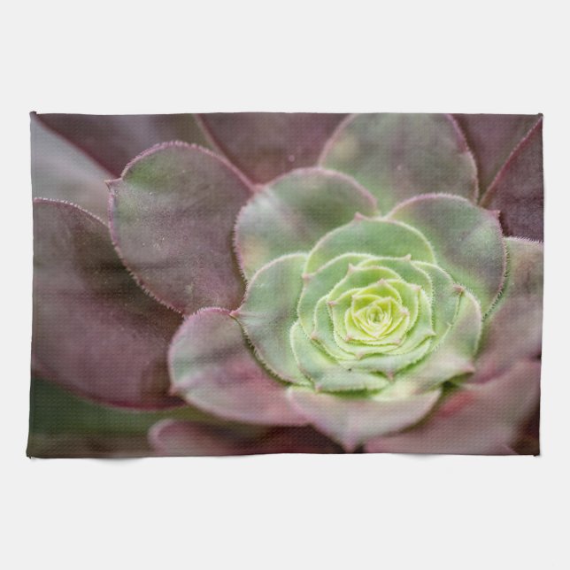 Cactus Print | A Desert Cactus Flower Tea Towel (Horizontal)