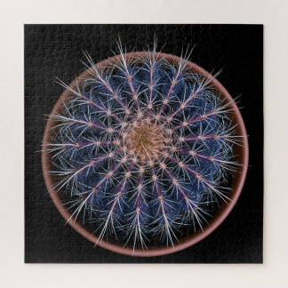 Cactus Puzzle