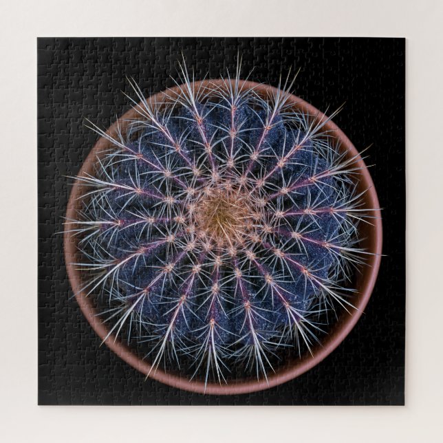 Cactus Puzzle (Vertical)