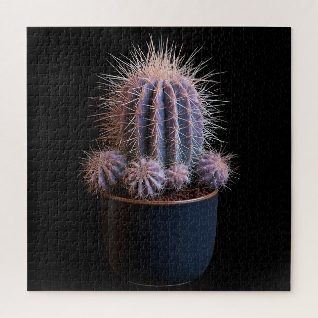 Cactus Puzzle (Vertical)