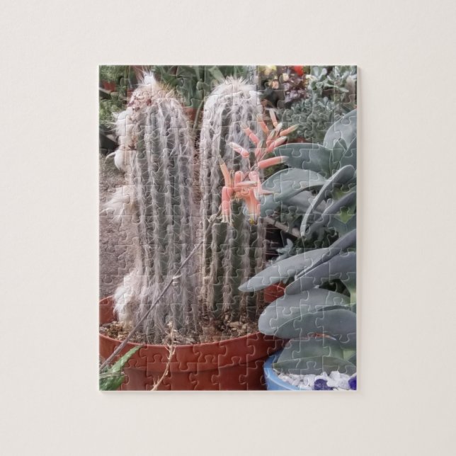 Cactus Puzzle (Vertical)