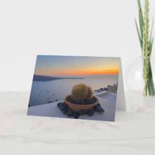 Cactus Santorini Greece Sunset Photography Card