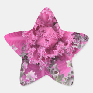 Cactus Star Sticker
