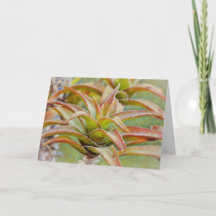 Cactus Succulent Aloe Art Note Card