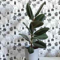 Cactus Succulent Black and White Art