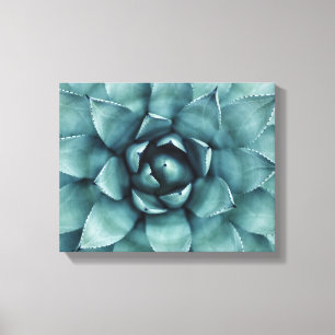 Cactus Succulent Cacti Canvas Art