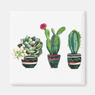 cactus, succulent, watercolor, fiesta, mexican, magnet