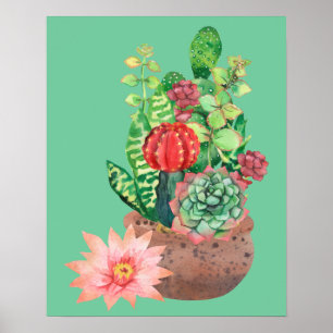 Cactus, Succulents, Cactus Flower, Arrangement  Poster