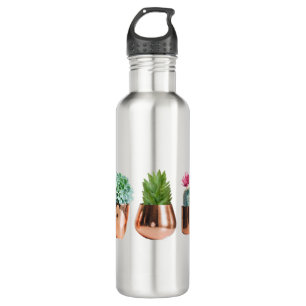 Cactus & Succulents in Rose Gold Pots 710 Ml Water Bottle