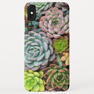 Cactus Succulents phone cases