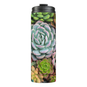 Cactus Succulents tumbler
