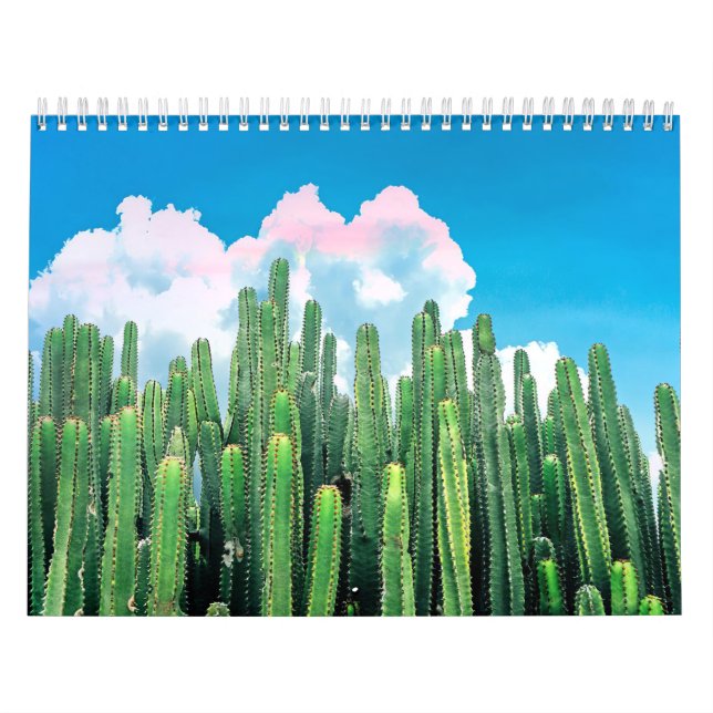 Cactus Summer Calendar (Cover)
