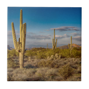 Cactus Sunset in Arizona Ceramic Tile