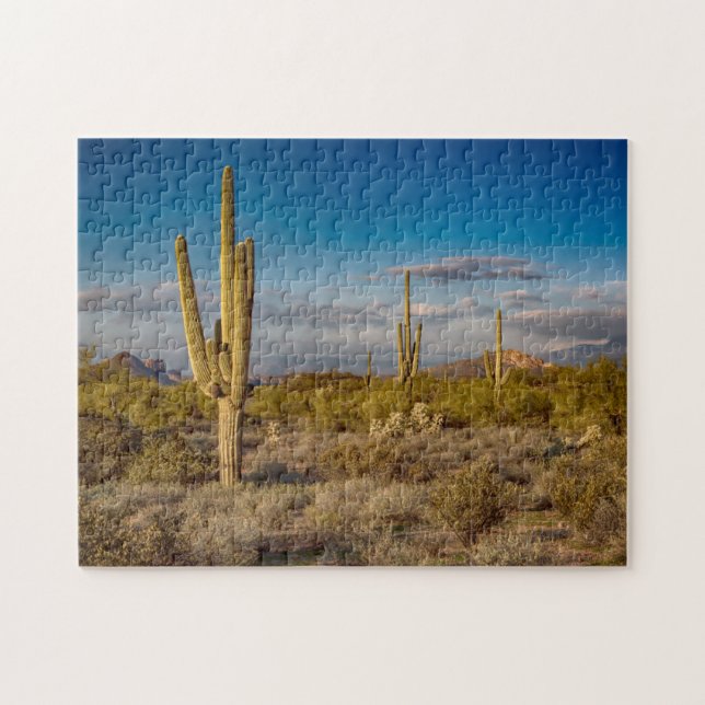 Cactus Sunset in Arizona Jigsaw Puzzle (Horizontal)