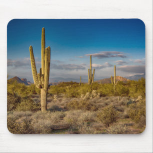 Cactus Sunset in Arizona Mouse Pad