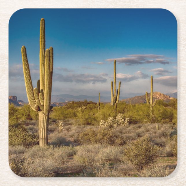 Cactus Sunset in Arizona Square Paper Coaster (Front)