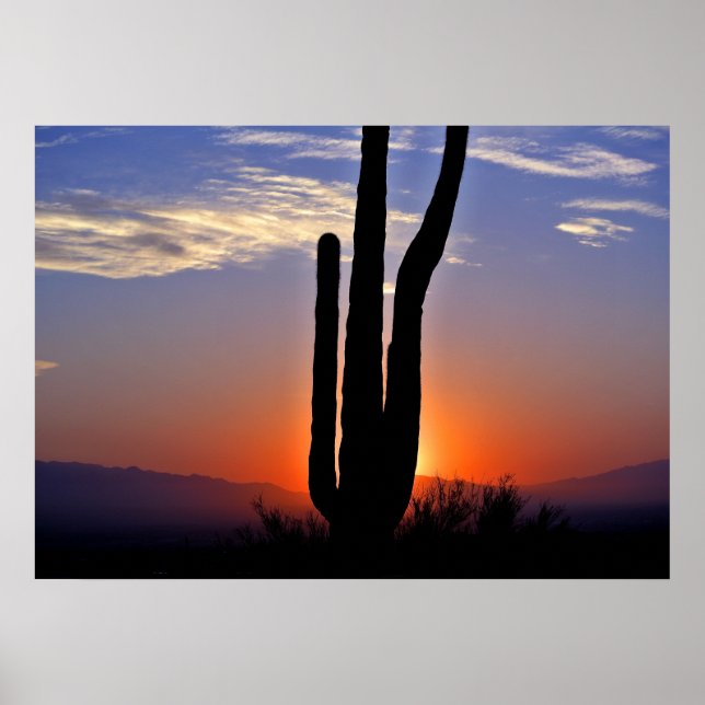 Cactus Sunset Poster (Front)