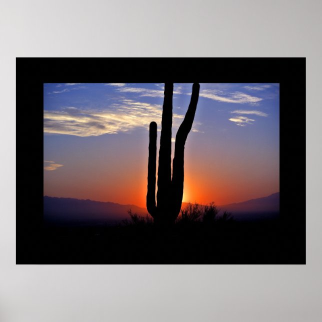 Cactus Sunset Poster (Front)