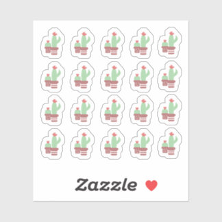 Cactus Terracotta Pots Shapes Floral Jungle