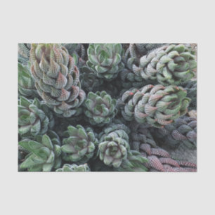 Cactus Tissue Paper
